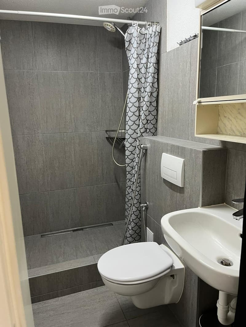 KLEINES STUDIO IN 4553 SUBINGEN  ZU VERMIETEN 750.- (4)
