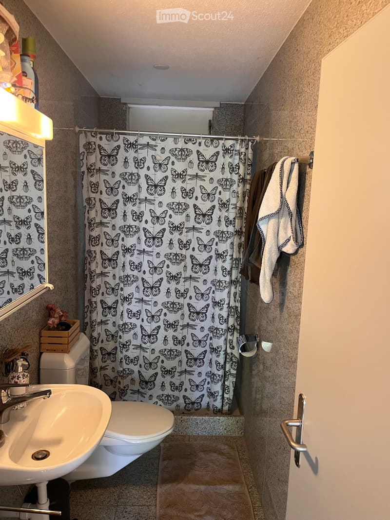 Sonnige Wohnung mit Garten in Brüttisellen (4)