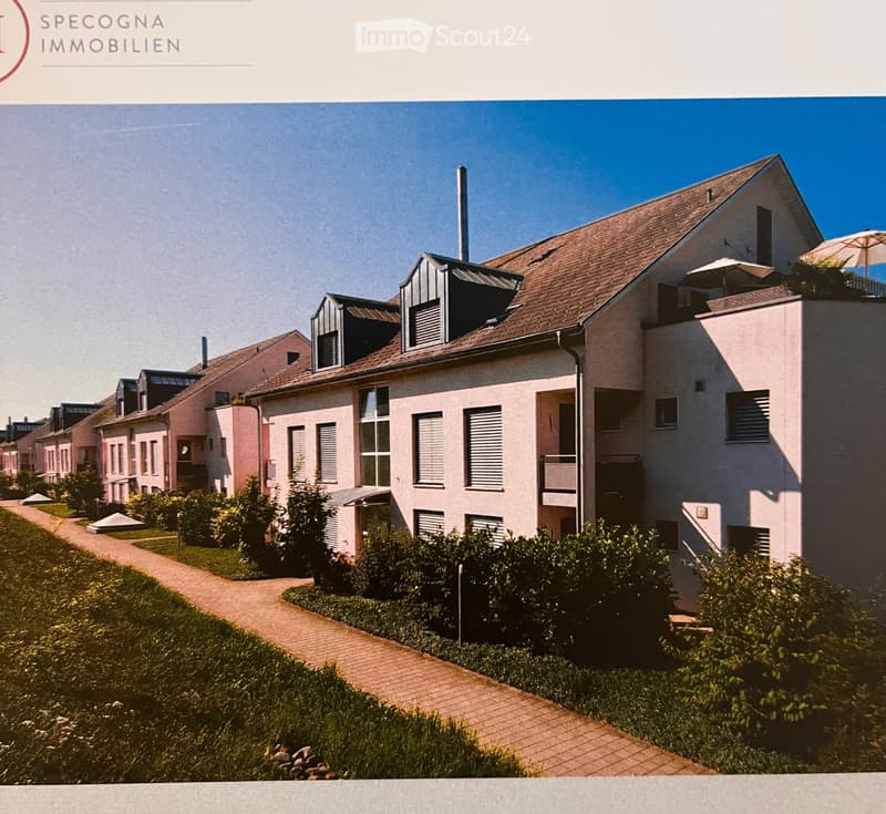 Sonnige Wohnung mit Garten in Brüttisellen (1)