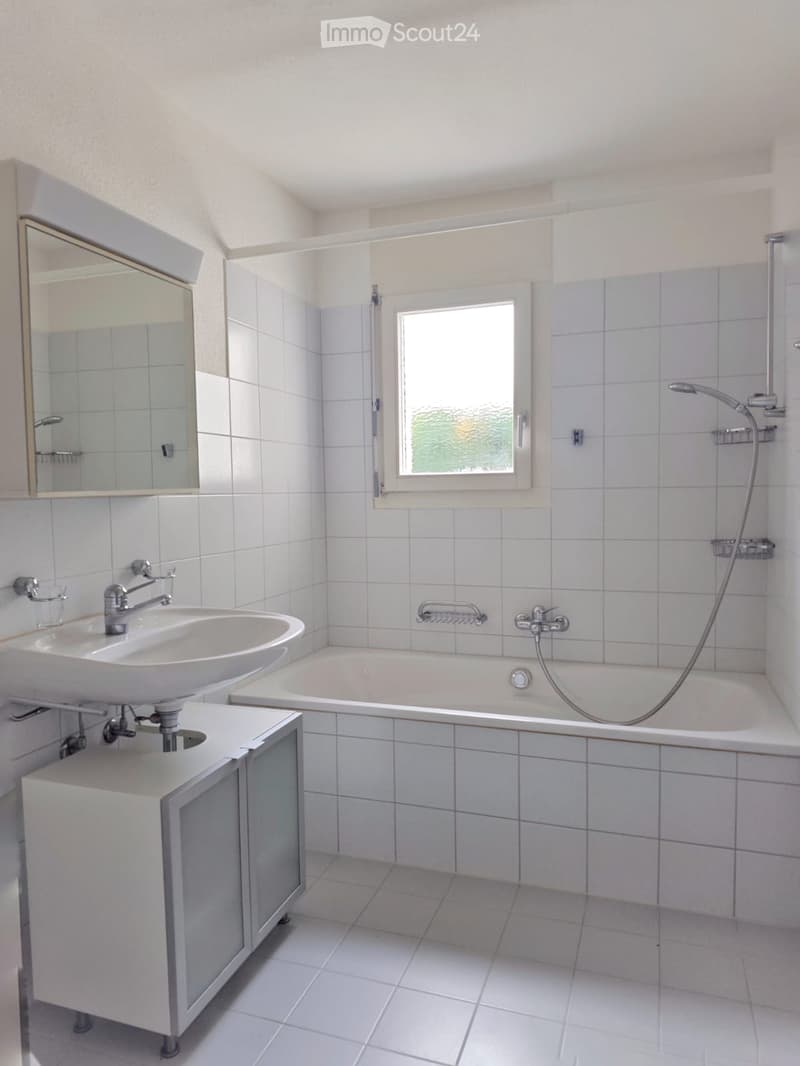 5.5 Zimmer Wohnung in Hedingen (5)
