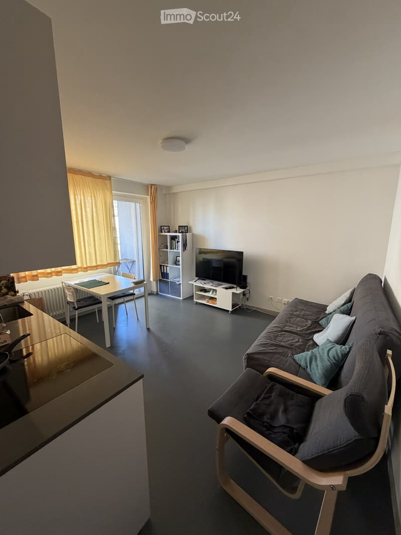 Appartamento 2.5 locali a Lugano Disponibile da Novembre (3)