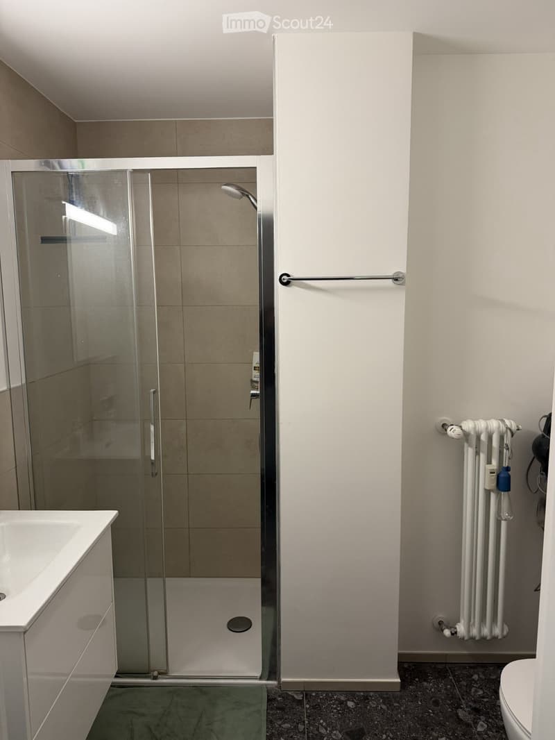 Appartamento 2.5 locali a Lugano Disponibile da Novembre (5)