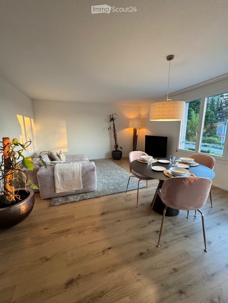 Apartment Lease Takeover 4.5-Room Apartment in Baar (4)