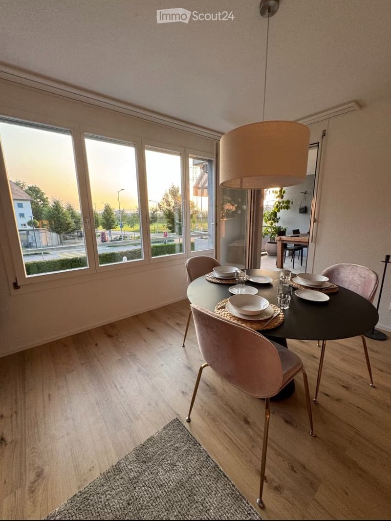 Apartment Lease Takeover 4.5-Room Apartment in Baar (1)