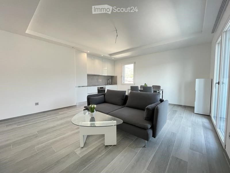 2.5 LOCALI IN AFFITTO A MENDRISIO ZONA CENTRALE (2)