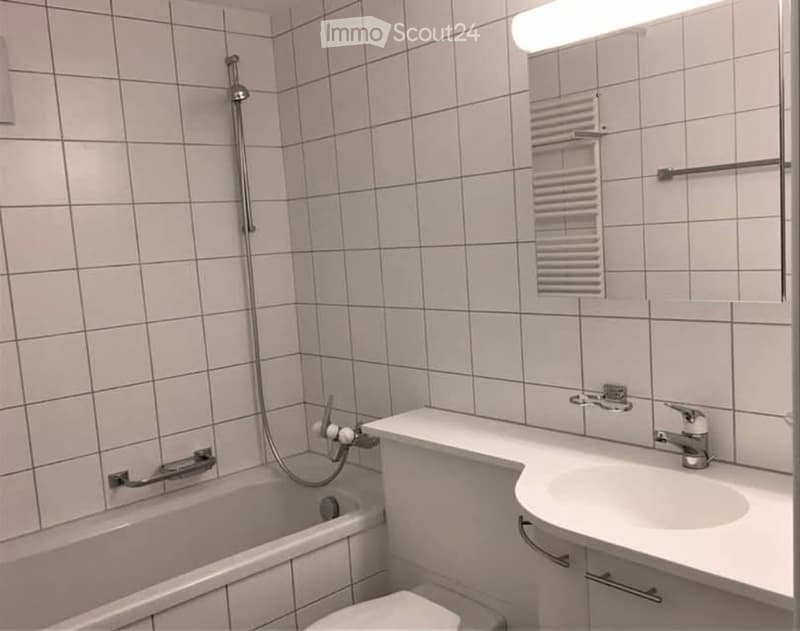 3.5 Wohnung in beliebter Lage "Gruben" Schaffhausen (3)