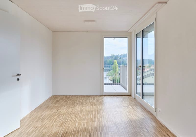 Penthouse Living in Adliswil with two Spacious Terraces! (4)