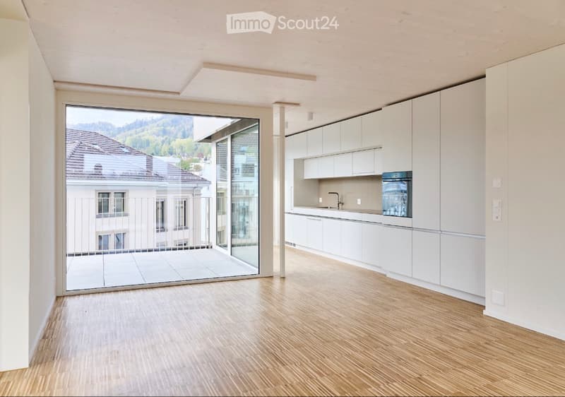 Penthouse Living in Adliswil with two Spacious Terraces! (3)