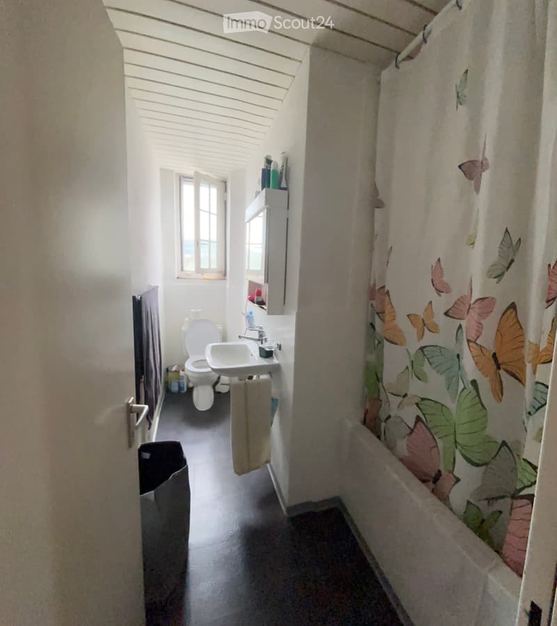 Nachmieter gesucht: 2½-Zimmer-Wohnung mit Cheminée in Baden (1)