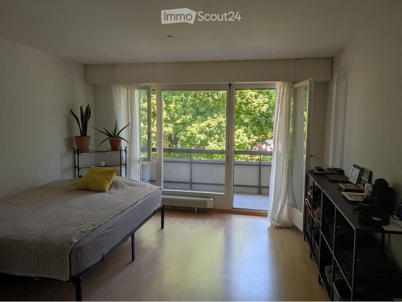 Nachmieter:in für helles Studio in Bern gesucht (1)