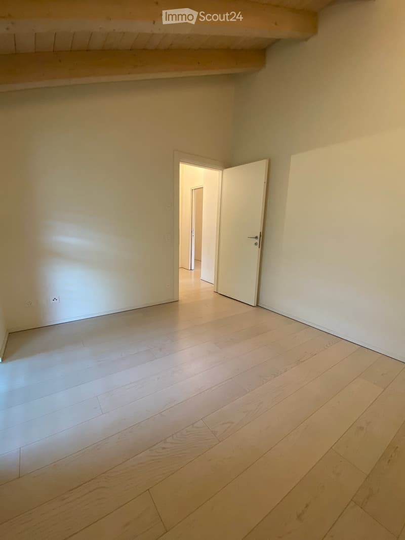 Luminoso 3.5 a Lugano con garage, cantina e spese incluse (4)