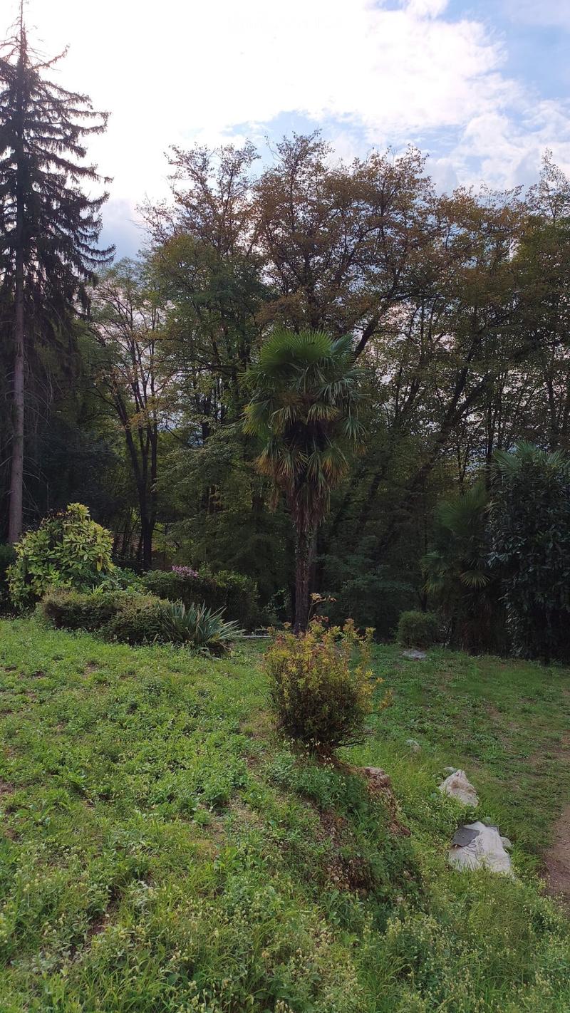 Stanza privato (3)