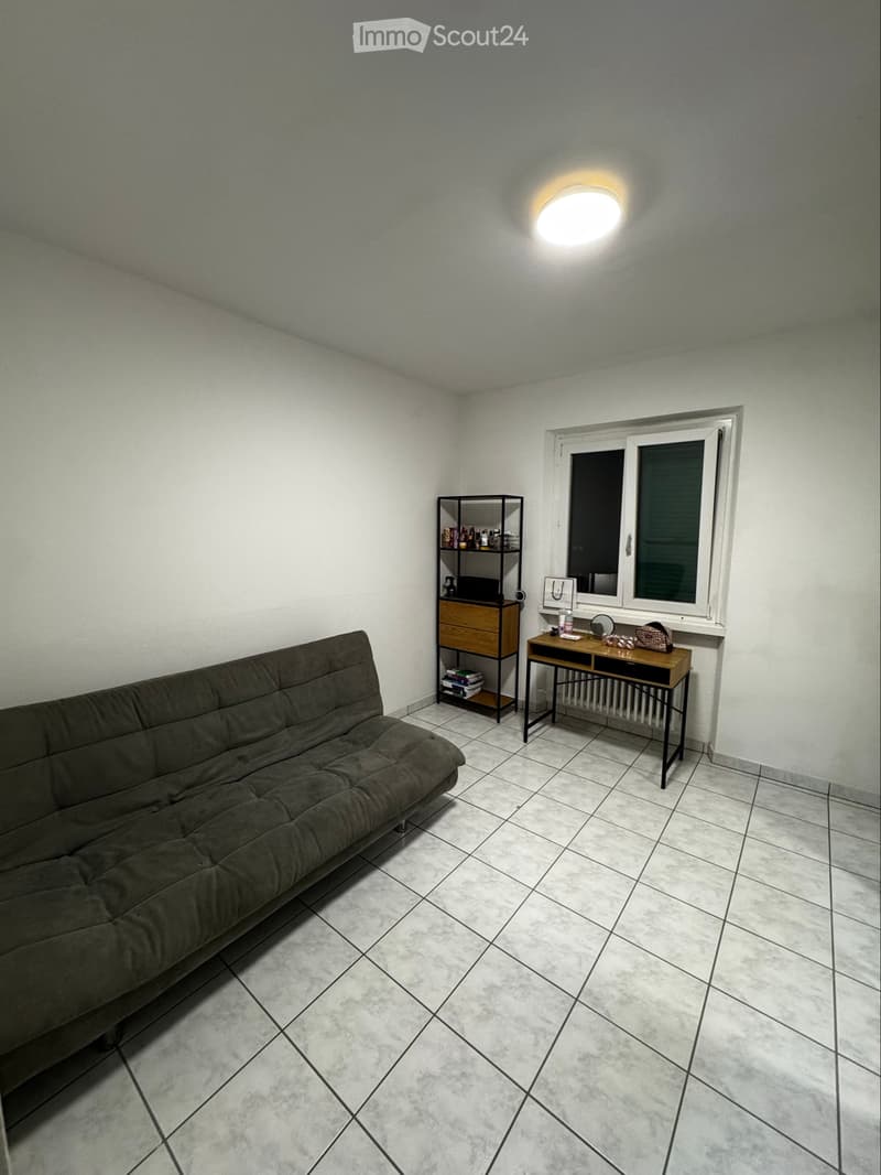 Subentrante 3,5 ad Arbedo (6)