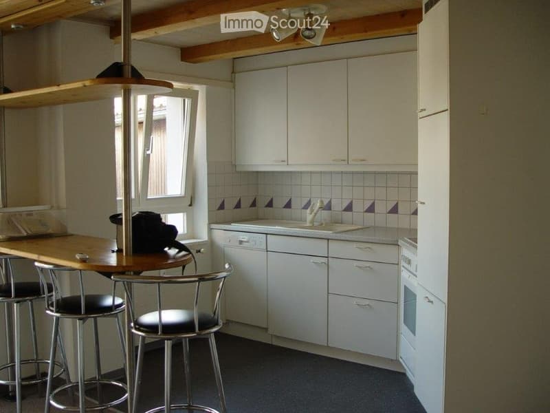 Schöne 2,5 Zimmer Wohnung mit Autoabstellplatz + Kellerraum (2)