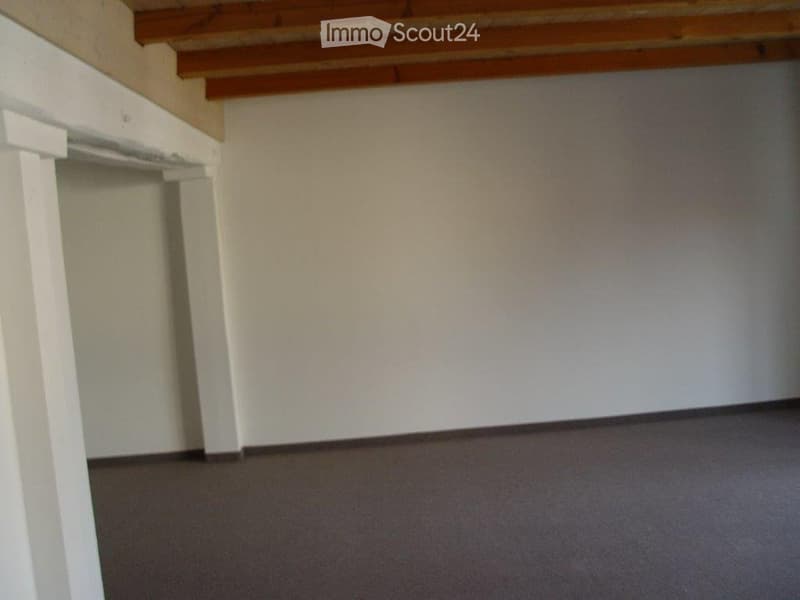 Schöne 2,5 Zimmer Wohnung mit Autoabstellplatz + Kellerraum (3)