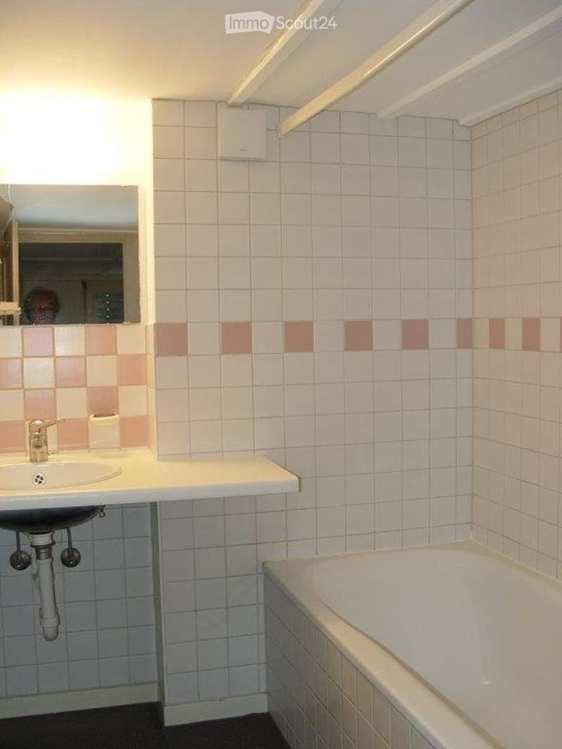 Schöne 2,5 Zimmer Wohnung mit Autoabstellplatz + Kellerraum (4)