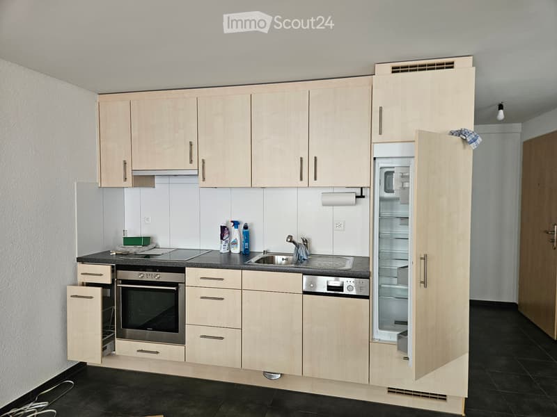 1-Zimmer-Wohnung in Fischenthal (3)