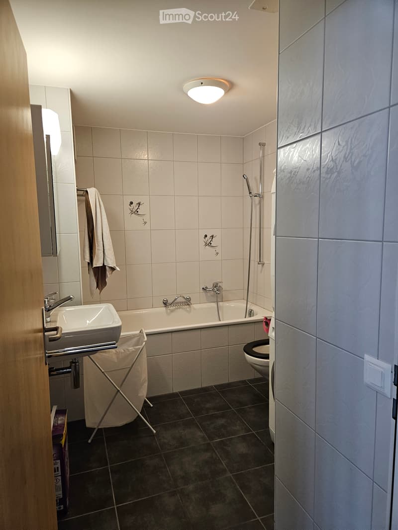 1-Zimmer-Wohnung in Fischenthal (4)