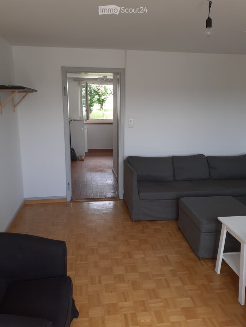 Schöne und preisgünstige 3.5-Zimmer-Wohnung in Schaffhausen (3)
