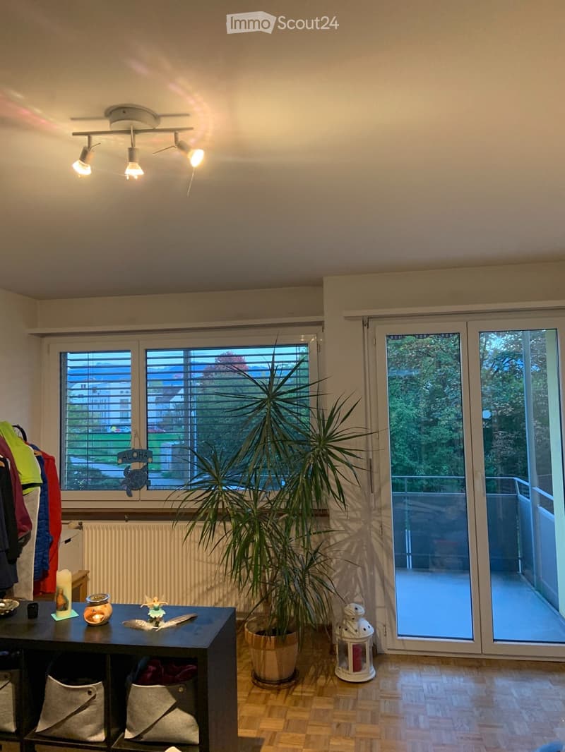 Wunderschöne 1-Zimmerwohnung mit grossem Balkon (5)