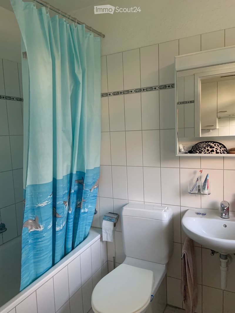 Wunderschöne 1-Zimmerwohnung mit grossem Balkon (2)