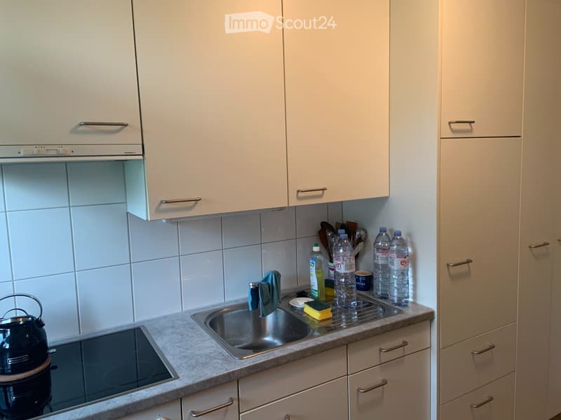 Wunderschöne 1-Zimmerwohnung mit grossem Balkon (4)