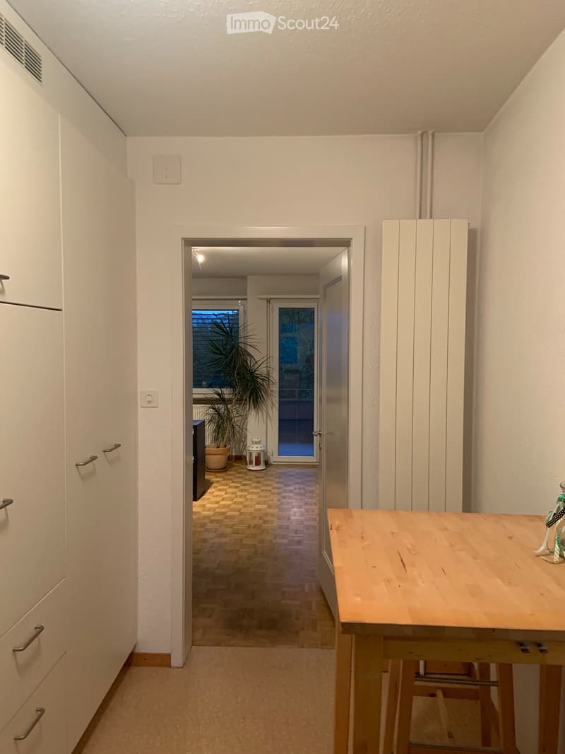 Wunderschöne 1-Zimmerwohnung mit grossem Balkon (3)
