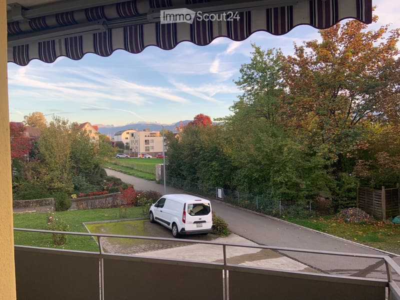 Wunderschöne 1-Zimmerwohnung mit grossem Balkon (1)