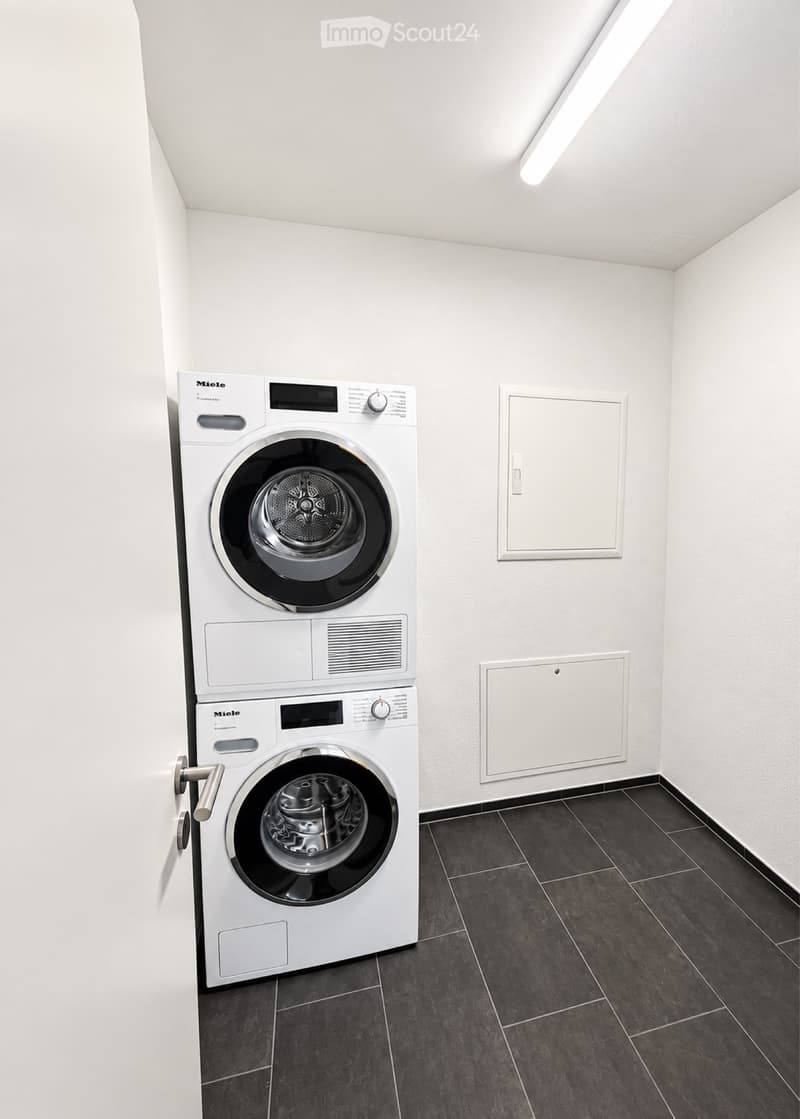 3,5 Zimmer-Wohnung Neubau (2)