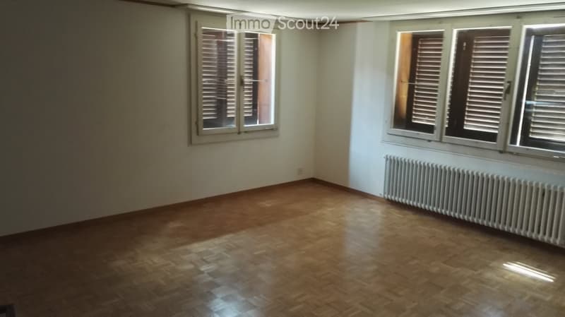 Sie suchen eine aussergewöhnliche Parterrewohnung (4)