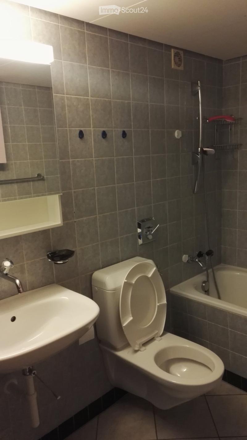 Sie suchen eine aussergewöhnliche Parterrewohnung (5)