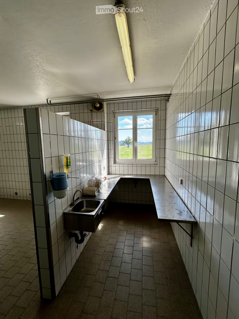 Vielseitig nutzbare Gewerbe Objekt (4)