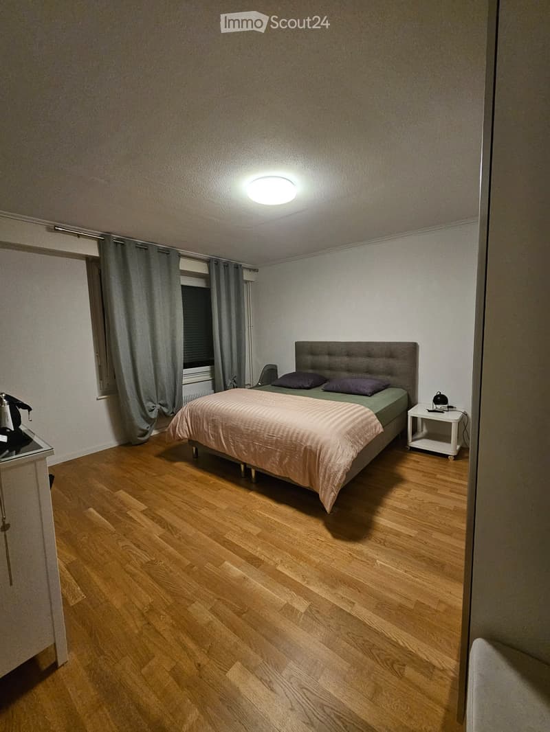 Spacieux appartement (4)