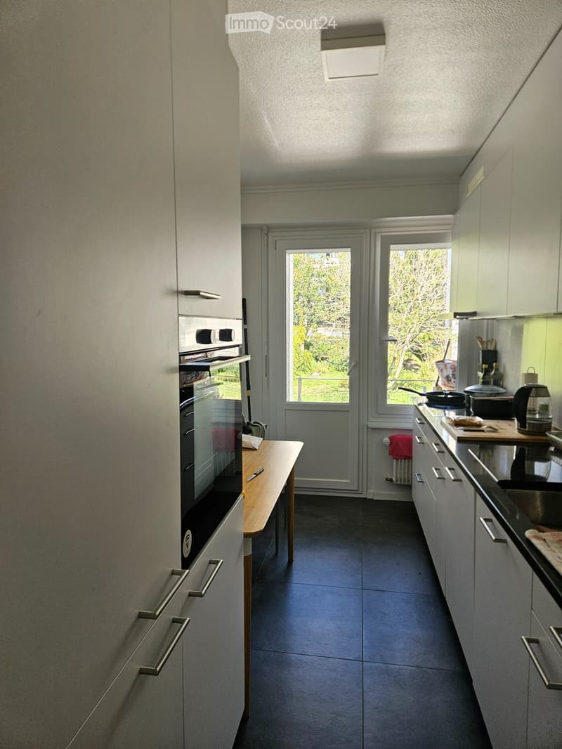 Spacieux appartement (5)