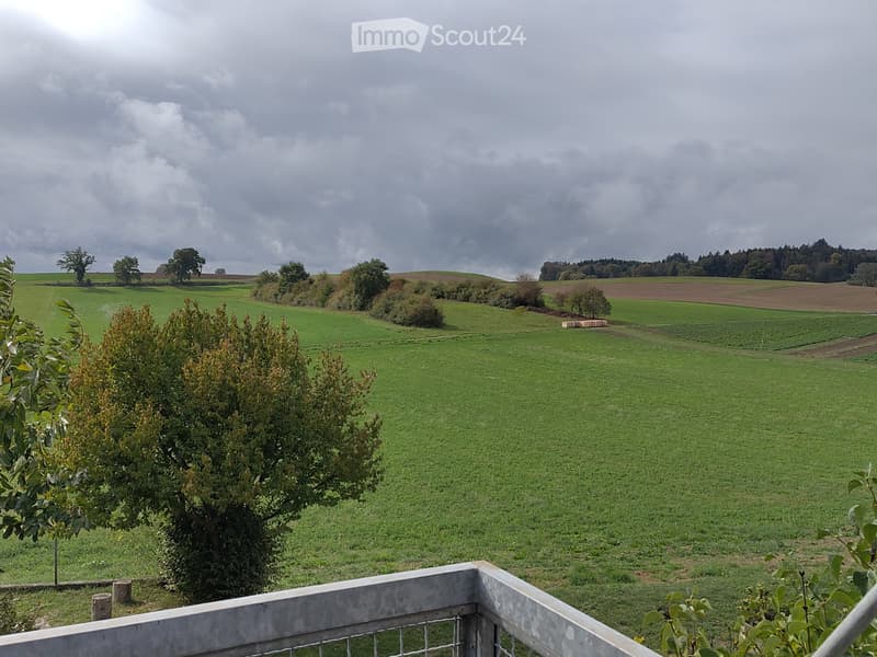 Ruhige Wohnung mit Top-Aussicht in Münchenbuchsee (1)