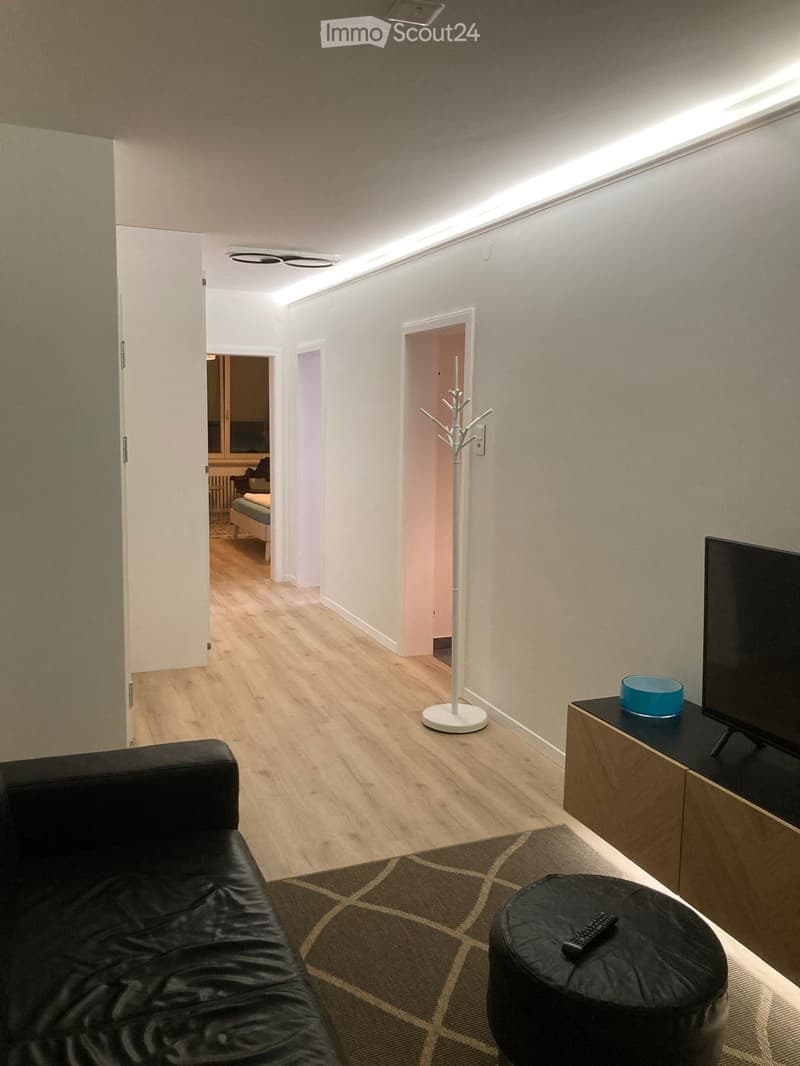 Möbelierte Wohnung // Frisch Renoviert (für 2-3 Personen) (3)