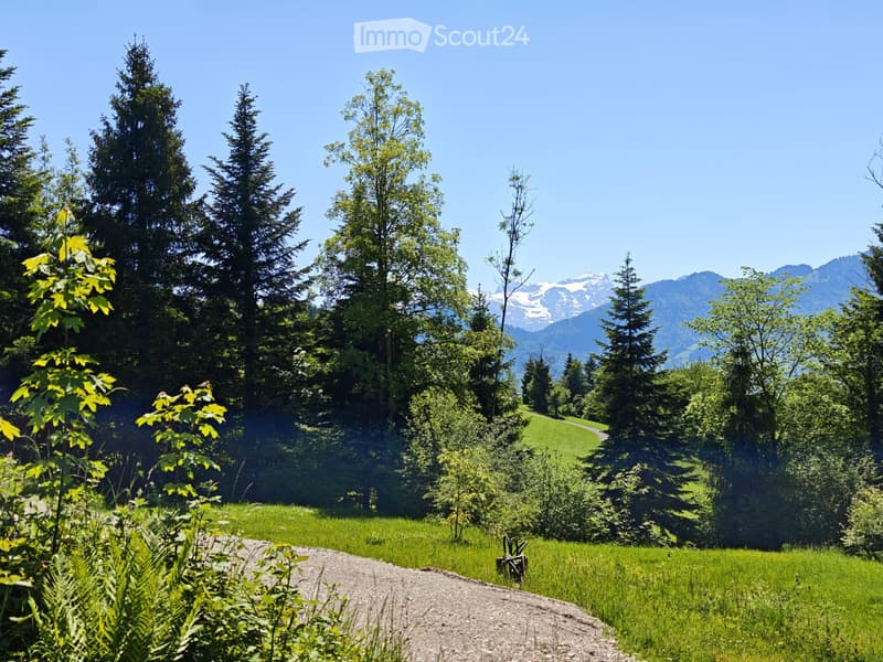 Diskretes Executive Home im Kanton Schwyz (2)