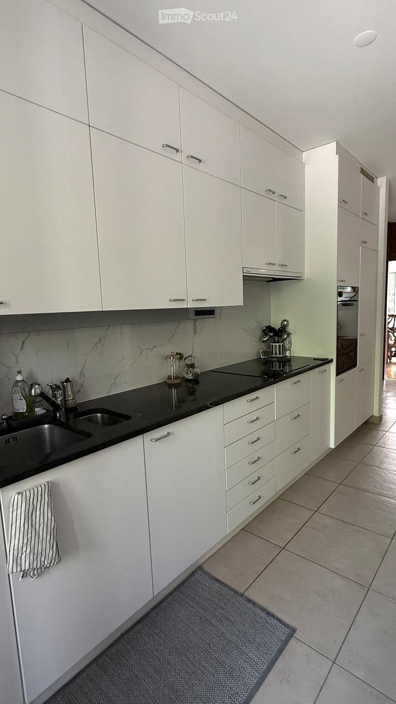 Attico 5,5 locali vista lago Massagno, 1a pigione offerta (4)