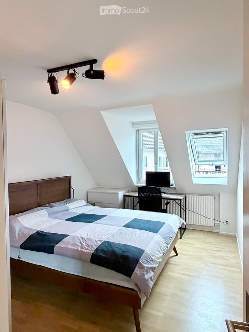 Wohnung mit Möbelverkauf Zürich Wiedikon (3)