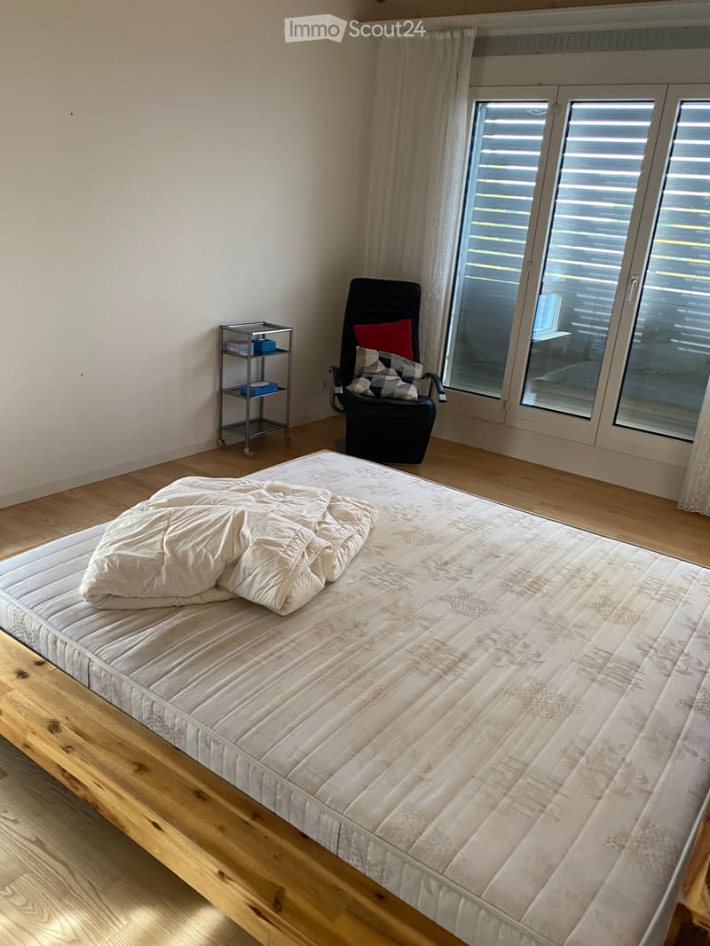 Zimmer in einer grossen Wohnung (1)