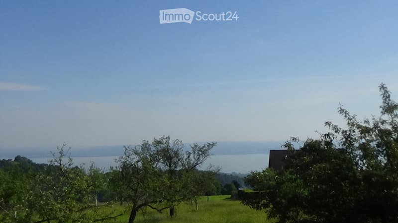 Im Grünen: Garten. öV 8 min. Bodensee-Blick (4)