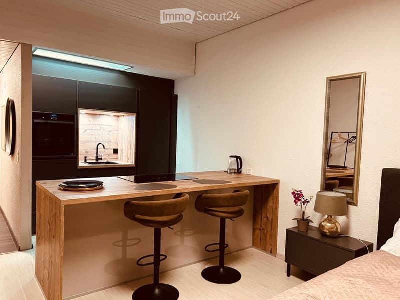 Sanierte Studiowohnung inkl Südbalkon und Aussenstellplatz (1)