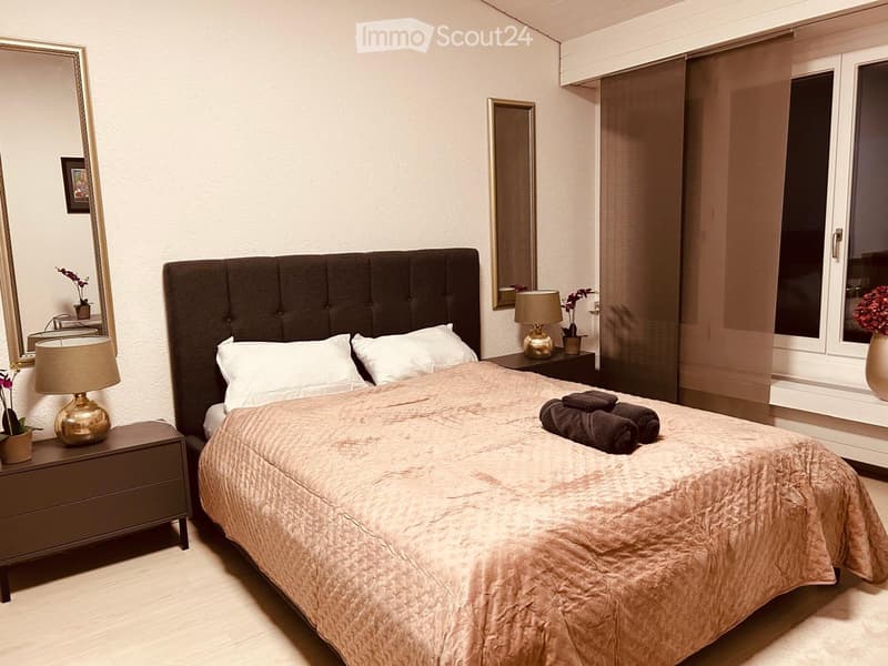 Sanierte Studiowohnung inkl Südbalkon und Aussenstellplatz (4)