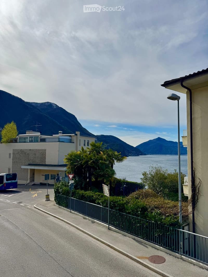2.5 LOCALI IN CASETTA CON GARAGE CASTAGNOLA (3)