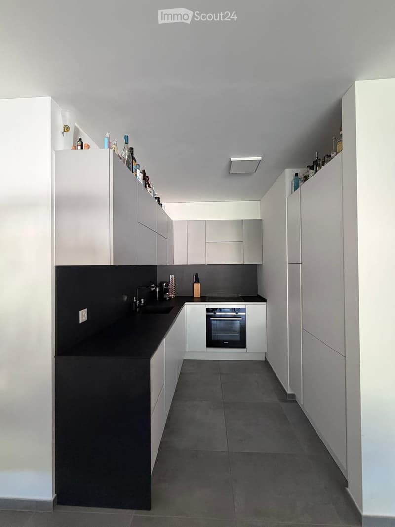 Moderno appartamento 2.5 locali a Lamone (3)
