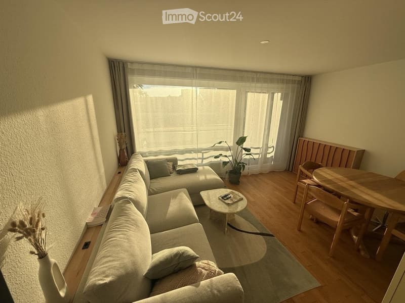 Sublet Fully Furnished 2-Room Apartment in Cham, Zug Kanton (1)