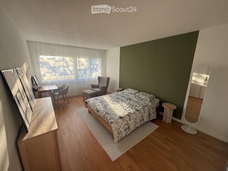 Sublet Fully Furnished 2-Room Apartment in Cham, Zug Kanton (2)
