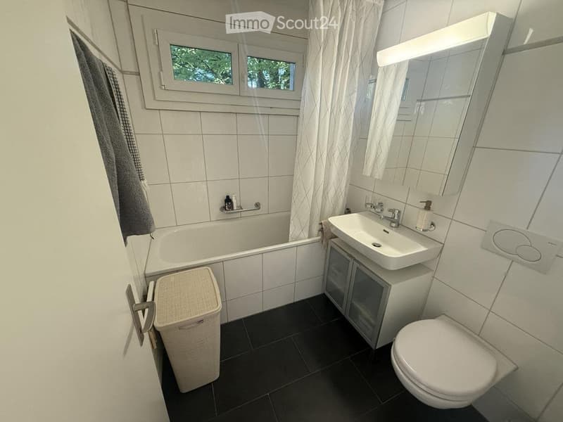 Sublet Fully Furnished 2-Room Apartment in Cham, Zug Kanton (4)