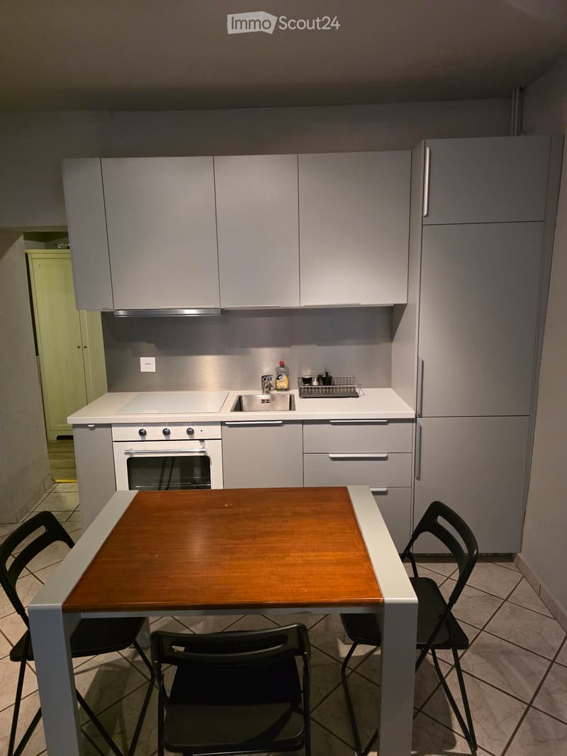 Monolocale arredato a Contone CHF 900. (3)