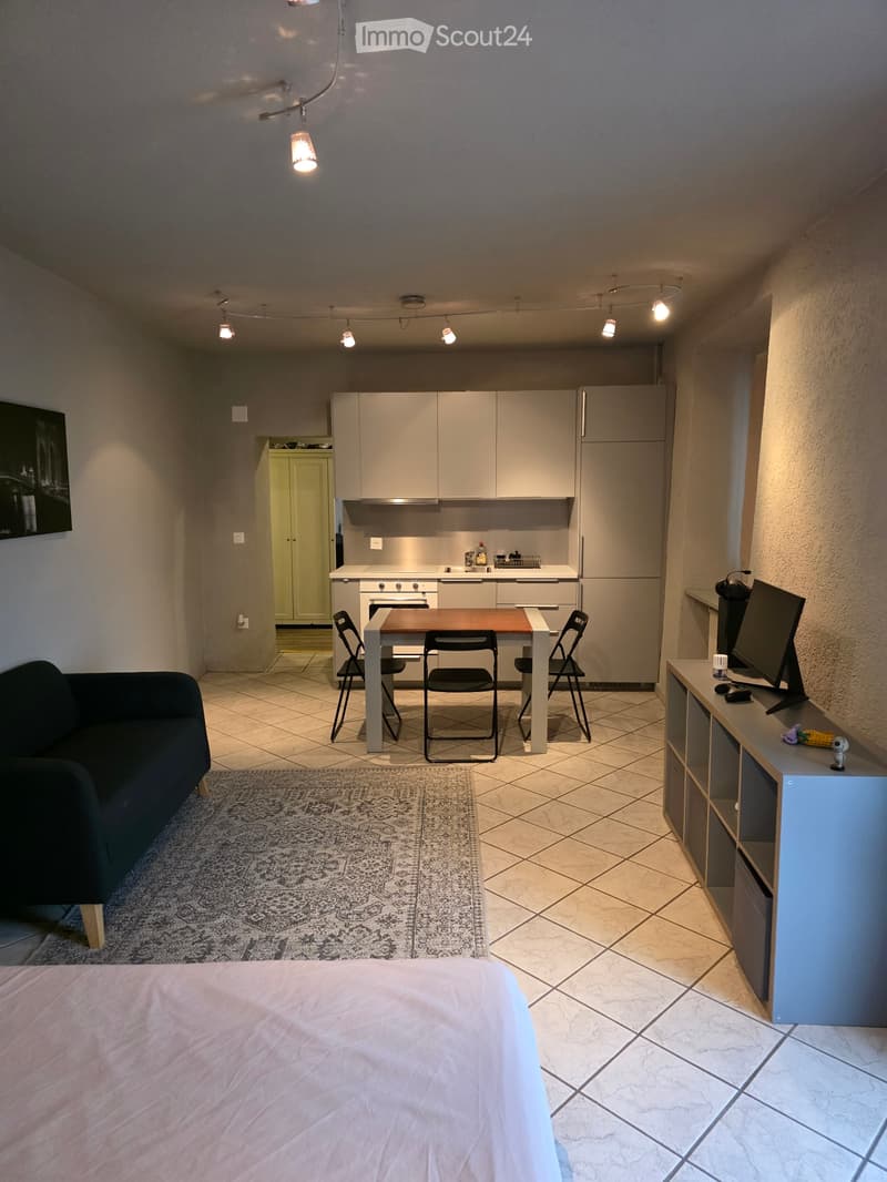 Monolocale arredato a Contone CHF 900. (1)